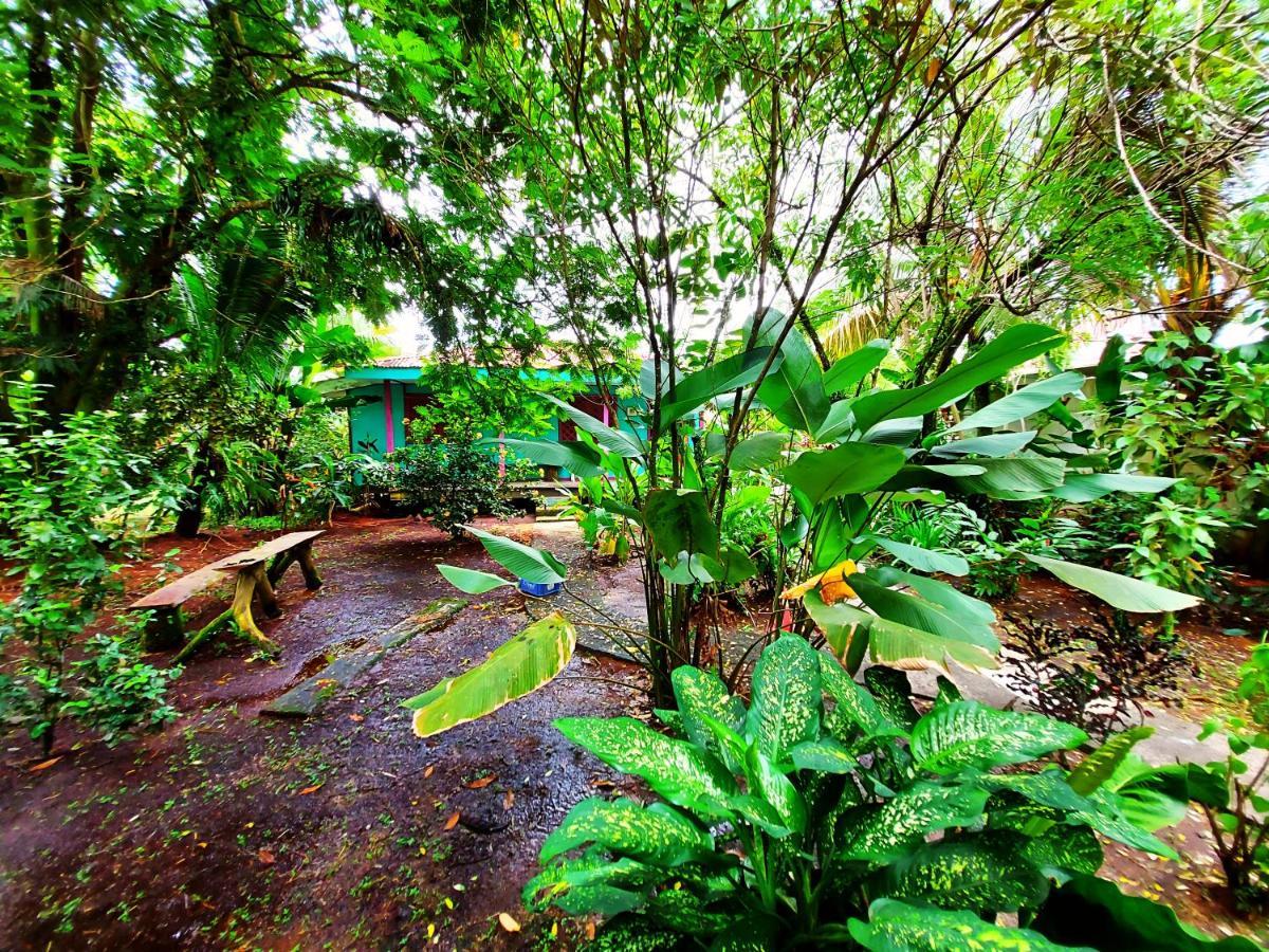 Cabinas Tortuguero Exterior foto