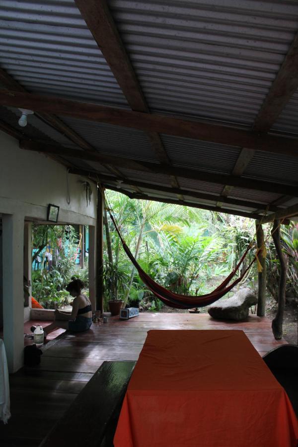Cabinas Tortuguero Exterior foto