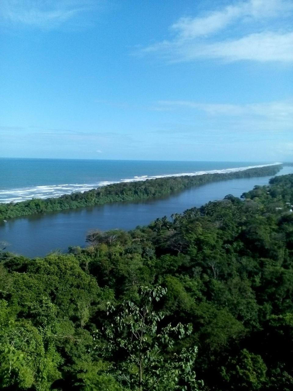Cabinas Tortuguero Exterior foto